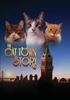 Cat Town Story, The